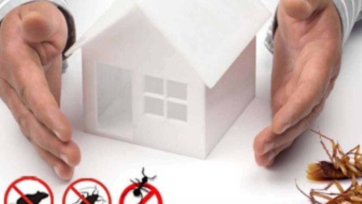 Boost Your Home's Value in Spring With GreenShield Pest Control