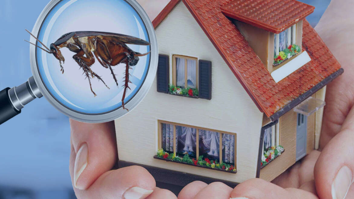 spring cleaning benefit for home protection