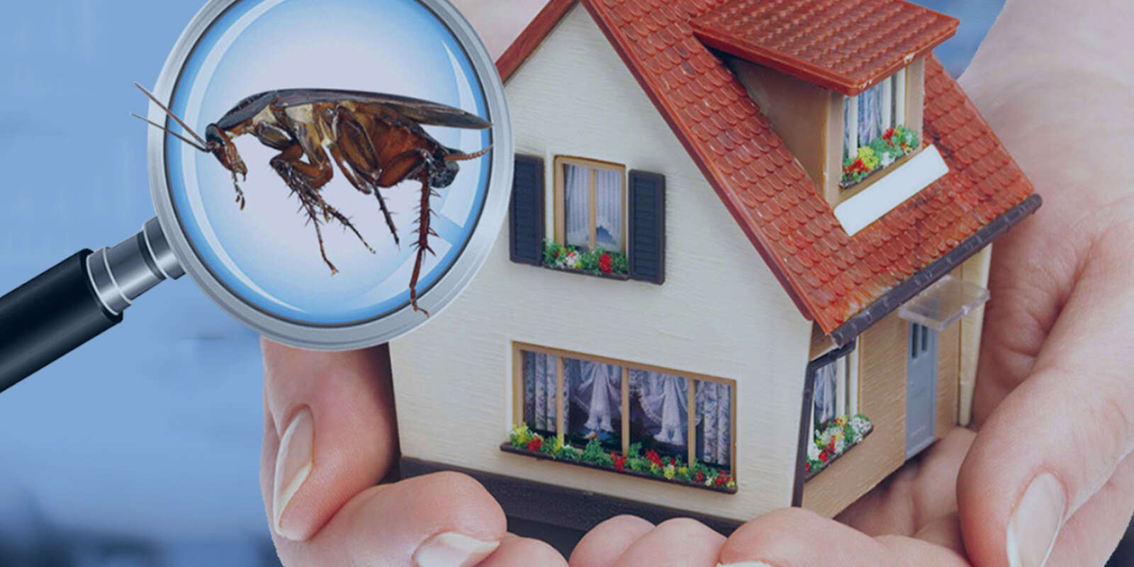 spring cleaning benefit for home protection